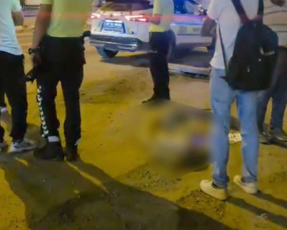 Milas’ta Motosikletin Çarptığı Köpek Yaralandı 2